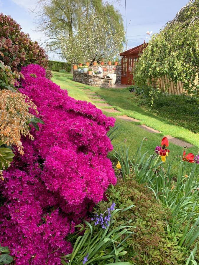 Llanwenarth Cottage A Beautiful Place To Just Be. Abergavenny Buitenkant foto