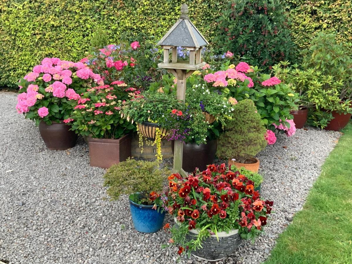 Llanwenarth Cottage A Beautiful Place To Just Be. Abergavenny Buitenkant foto