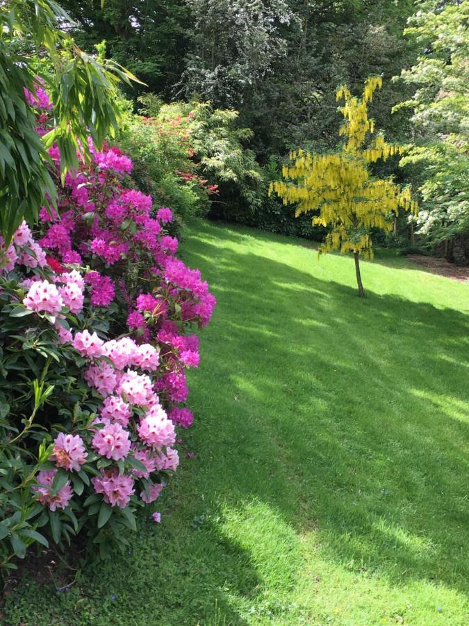 Llanwenarth Cottage A Beautiful Place To Just Be. Abergavenny Buitenkant foto