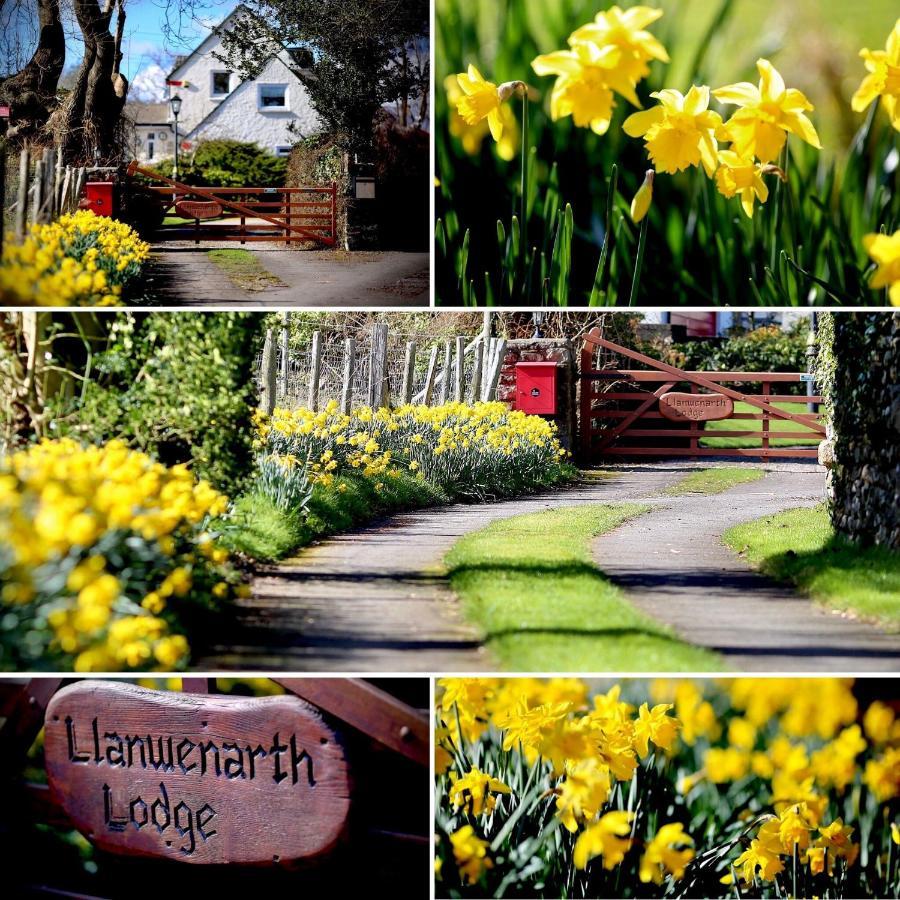 Llanwenarth Cottage A Beautiful Place To Just Be. Abergavenny Buitenkant foto